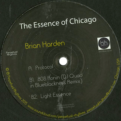 BRIAN HARDEN, The Essence of Chicago