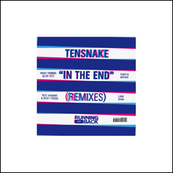 TENSNAKE, In The End Remixes