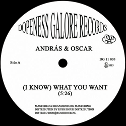 OSCAR Andras &, ( I Know ) What You Want