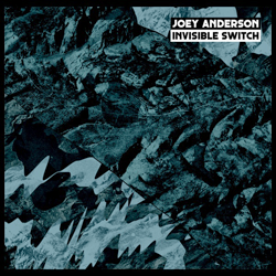 Joey Anderson, Invisible Switch