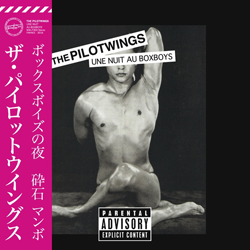 The Pilotwings, Une Nuit Au Boxboys