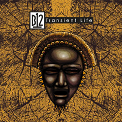 B12, Transient Life