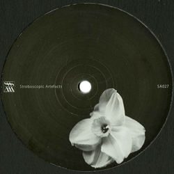 Rrose / Kangding Ray, Ardent / Swallows