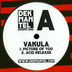 VAKULA, Picture Of You