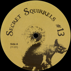 Secret Squirrels, Secret Squirrels #13