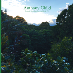 Anthony Child, Electronic Recordings From Maui Jungle Vol 1