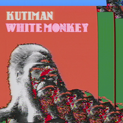 KUTIMAN, White Monkey
