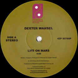 DEXTER WANSEL, Life on Mars / The Sweetest Pain