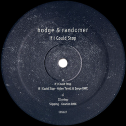 Hodge & Randomer, If I Could Stop