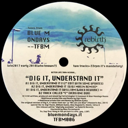 Blue Mondays, Dig It, Understand It ( Gigi Masin Remix )