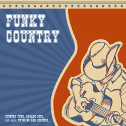 VARIOUS ARTISTS, Funky Country