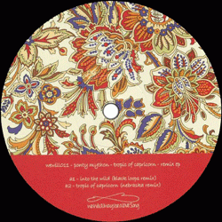 Ponty Mython, Tropic Of Capricorn Remix EP