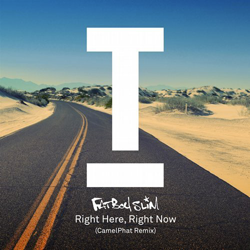 FATBOY SLIM, Right Here Right Now ( CamelPhat Remix )