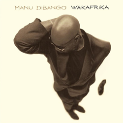 Manu Dibango, Wakafrika