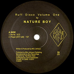 Nature Boy aka DJ NATURE, Ruff Disco Volume One