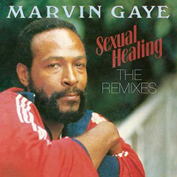 Marvin Gaye, Sexual Healing - The Remixes