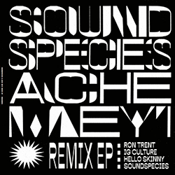 Soundspecies & Ache Meyi, Remix EP