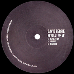 David Berrie, Revolution Ep