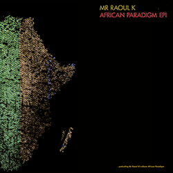 MR RAOUL K, African Paradigm EP1