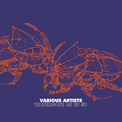 Acid Pauli / Musumeci / VARIOUS ARTISTS, Watergate 25 EP #1