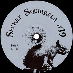 Secret Squirrel, Secret Squirrels #19