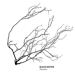 Black Motor, Branches