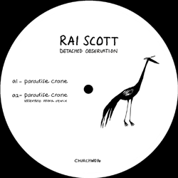Rai Scott, Detached Observation