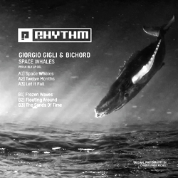 Giorgio Gigli & Bichord, Space Whales