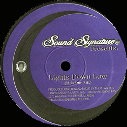 Theo Parrish, Lights Down Low
