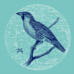 Genius Of Time, Peace Bird EP