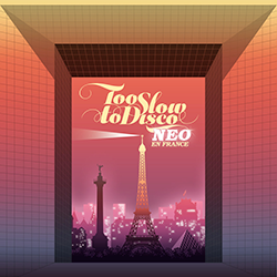 VARIOUS ARTISTS, Too Slow To Disco Neo En France