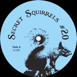 Secret Squirrel, Secret Squirrels #20
