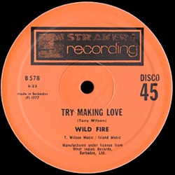 Wild Fire, Try Making Love