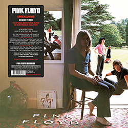 Pink Floyd, Ummagumma