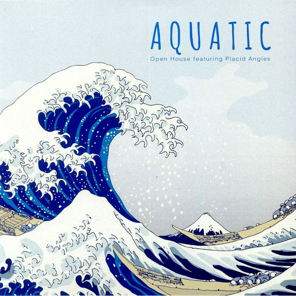 Open House feat. Placid Angles, Aquatic ( Carl Craig Remix )
