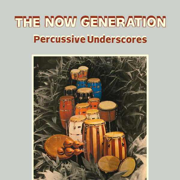 Peter Ludemann / Pit Troja, The Now Generation ( Percussive Underscores )