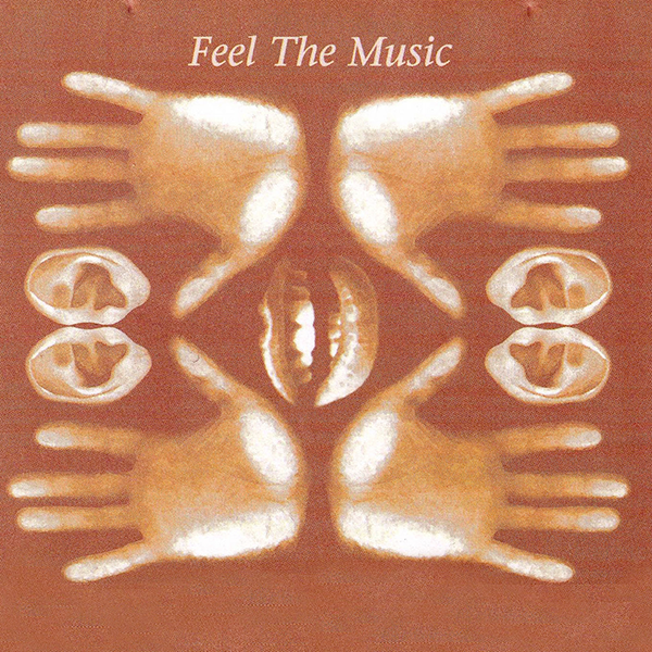 PAUL JOHNSON, Feel The Music ( Repress )