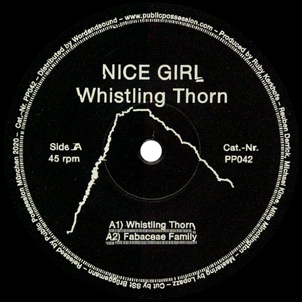 Nice Girl, Whistling Thorn