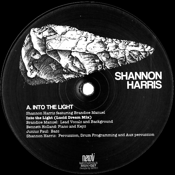 Shannon Harris, Into The Light / Kinetic Energy