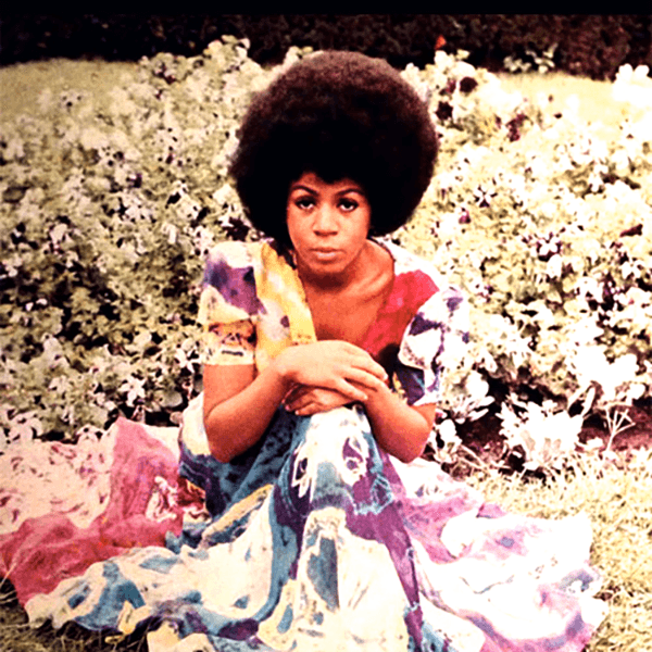 MINNIE RIPERTON, Les Fleur / Oh By The Way ( Selector Series )