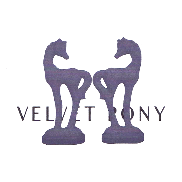 VARIOUS ARTISTS, Velvet Pony Tracks 9