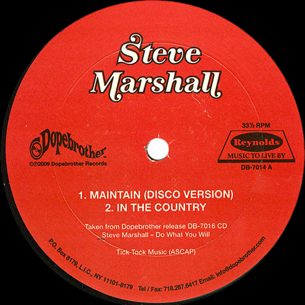 STEVE MARSHALL, Maintain ( Disco Version )