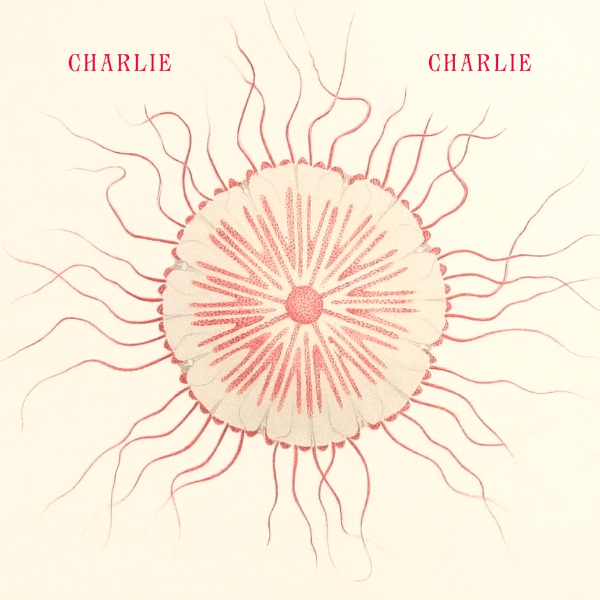 Charlie Charlie, Save Us