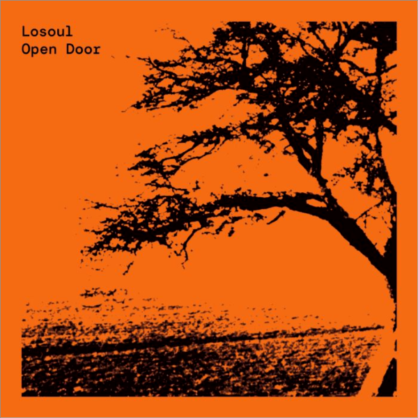 LOSOUL / Theo Parrish / GERD, Open Door