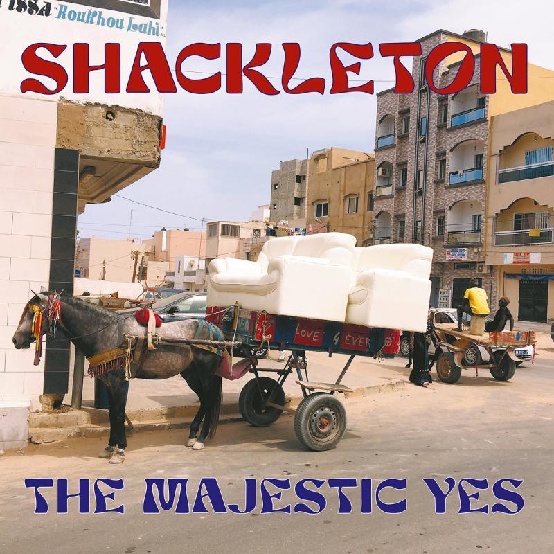 SHACKLETON, The Majestic Yes