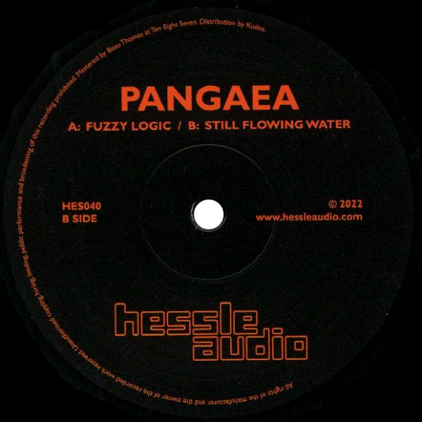 Pangaea, Fuzzy Logic / Still Flowing Water