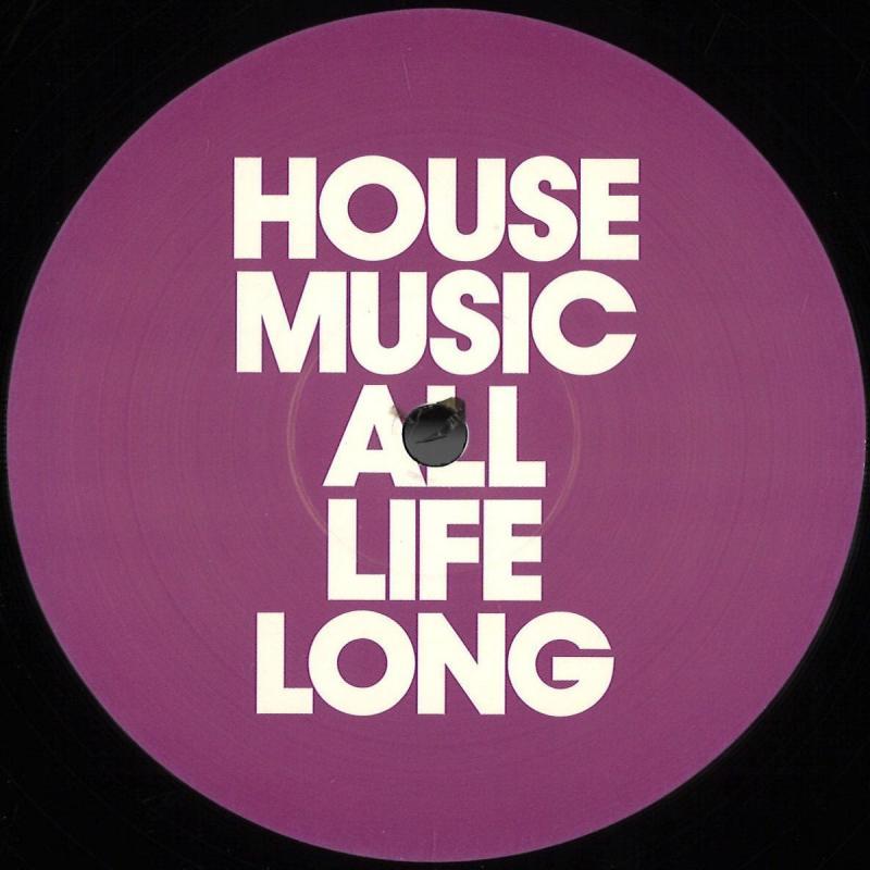 VARIOUS ARTISTS, House Music All Life Long 6