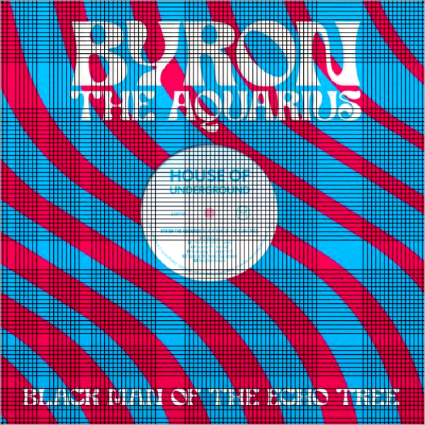 Byron The Aquarius feat. KYLE HALL / Jordan Gcz, Black Man Of The Echo Tree