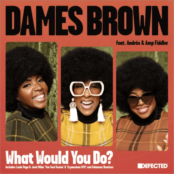 Dames Brown feat. ANDRES / AMP FIDDLER, What Would You Do?