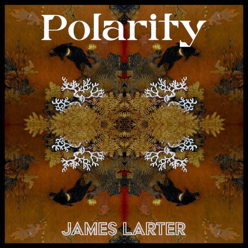 James Larter, Polarity